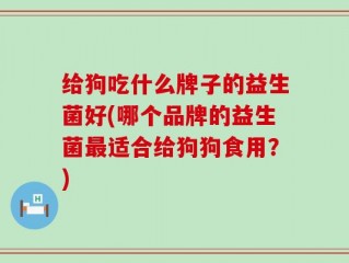 给狗吃什么牌子的益生菌好(哪个品牌的益生菌最适合给狗狗食用？)