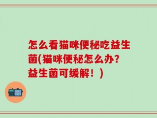 怎么看猫咪便秘吃益生菌(猫咪便秘怎么办？益生菌可缓解！)