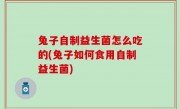 兔子自制益生菌怎么吃的(兔子如何食用自制益生菌)