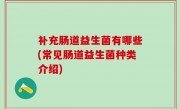 补充肠道益生菌有哪些(常见肠道益生菌种类介绍)