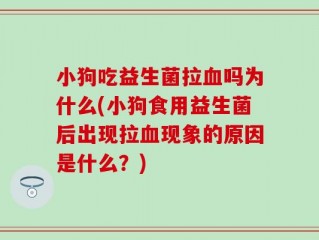 小狗吃益生菌拉血吗为什么(小狗食用益生菌后出现拉血现象的原因是什么？)
