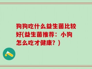 狗狗吃什么益生菌比较好(益生菌推荐：小狗怎么吃才健康？)