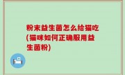 粉末益生菌怎么给猫吃(猫咪如何正确服用益生菌粉)