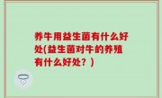 养牛用益生菌有什么好处(益生菌对牛的养殖有什么好处？)