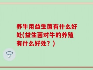 养牛用益生菌有什么好处(益生菌对牛的养殖有什么好处？)
