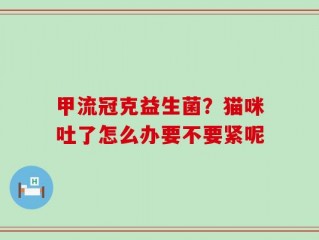 甲流冠克益生菌？猫咪吐了怎么办要不要紧呢