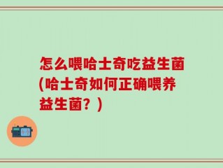 怎么喂哈士奇吃益生菌(哈士奇如何正确喂养益生菌？)