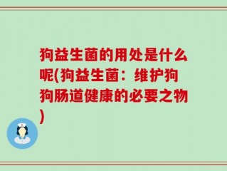 狗益生菌的用处是什么呢(狗益生菌：维护狗狗肠道健康的必要之物)