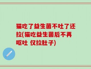 猫吃了益生菌不吐了还拉(猫吃益生菌后不再呕吐 仅拉肚子)