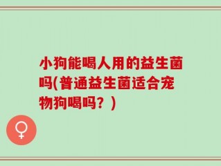 小狗能喝人用的益生菌吗(普通益生菌适合宠物狗喝吗？)