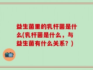 益生菌里的乳杆菌是什么(乳杆菌是什么，与益生菌有什么关系？)