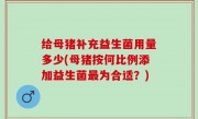 给母猪补充益生菌用量多少(母猪按何比例添加益生菌最为合适？)