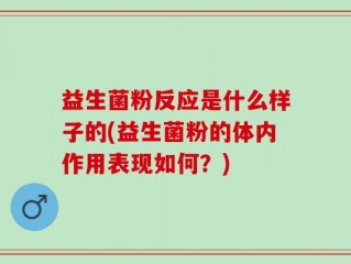 益生菌粉反应是什么样子的(益生菌粉的体内作用表现如何？)