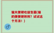 猫大便硬吃益生菌(猫的便便硬邦邦？试试这个方法！)