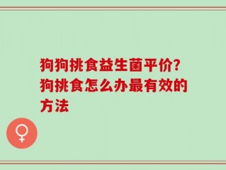 狗狗挑食益生菌平价？狗挑食怎么办最有效的方法
