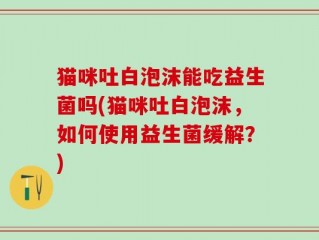 猫咪吐白泡沫能吃益生菌吗(猫咪吐白泡沫，如何使用益生菌缓解？)