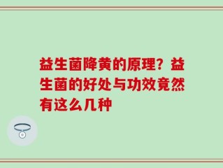 益生菌降黄的原理？益生菌的好处与功效竟然有这么几种