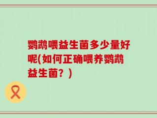 鹦鹉喂益生菌多少量好呢(如何正确喂养鹦鹉益生菌？)