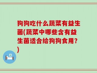 狗狗吃什么蔬菜有益生菌(蔬菜中哪些含有益生菌适合给狗狗食用？)