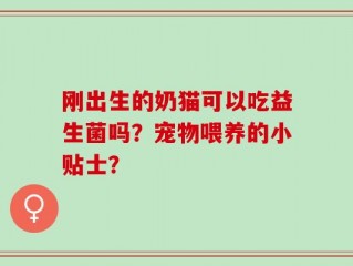 刚出生的奶猫可以吃益生菌吗？宠物喂养的小贴士？