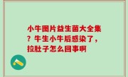 小牛图片益生菌大全集？牛生小牛后感染了，拉肚子怎么回事啊