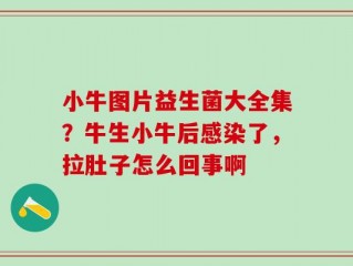 小牛图片益生菌大全集？牛生小牛后感染了，拉肚子怎么回事啊