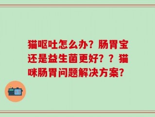 猫呕吐怎么办？肠胃宝还是益生菌更好？？猫咪肠胃问题解决方案？