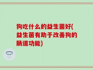 狗吃什么的益生菌好(益生菌有助于改善狗的肠道功能)