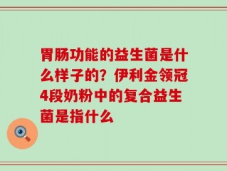 胃肠功能的益生菌是什么样子的？伊利金领冠4段奶粉中的复合益生菌是指什么