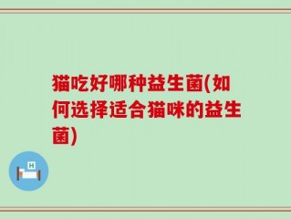 猫吃好哪种益生菌(如何选择适合猫咪的益生菌)