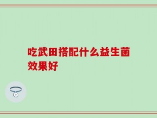 吃武田搭配什么益生菌效果好