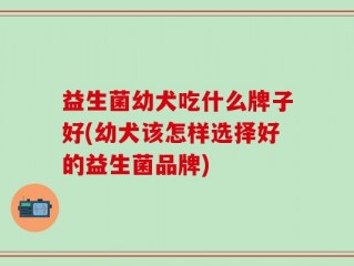益生菌幼犬吃什么牌子好(幼犬该怎样选择好的益生菌品牌)