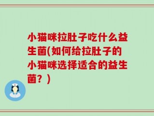 小猫咪拉肚子吃什么益生菌(如何给拉肚子的小猫咪选择适合的益生菌？)