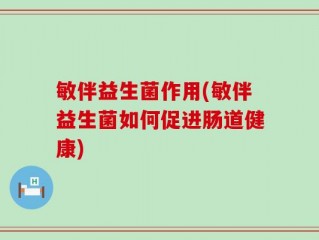敏伴益生菌作用(敏伴益生菌如何促进肠道健康)