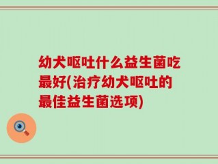 幼犬呕吐什么益生菌吃最好(治疗幼犬呕吐的最佳益生菌选项)