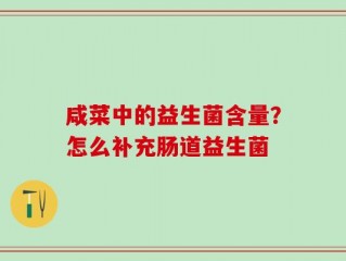 咸菜中的益生菌含量？怎么补充肠道益生菌