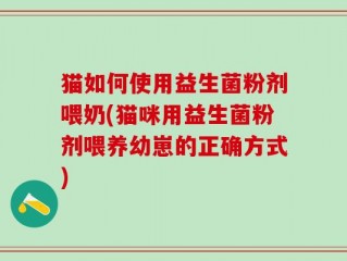 猫如何使用益生菌粉剂喂奶(猫咪用益生菌粉剂喂养幼崽的正确方式)