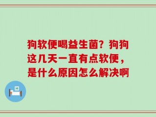 狗软便喝益生菌？狗狗这几天一直有点软便，是什么原因怎么解决啊