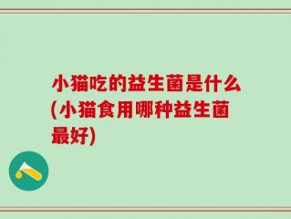 小猫吃的益生菌是什么(小猫食用哪种益生菌最好)