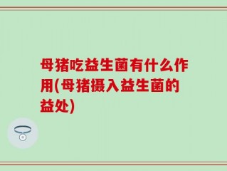 母猪吃益生菌有什么作用(母猪摄入益生菌的益处)