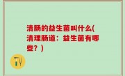 清肠的益生菌叫什么(清理肠道：益生菌有哪些？)