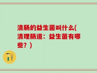 清肠的益生菌叫什么(清理肠道：益生菌有哪些？)