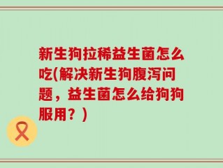 新生狗拉稀益生菌怎么吃(解决新生狗腹泻问题，益生菌怎么给狗狗服用？)