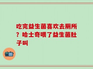 吃完益生菌喜欢去厕所？哈士奇喂了益生菌肚子叫