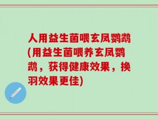 人用益生菌喂玄凤鹦鹉(用益生菌喂养玄凤鹦鹉，获得健康效果，换羽效果更佳)