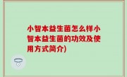小智本益生菌怎么样小智本益生菌的功效及使用方式简介)