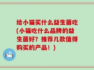 给小猫买什么益生菌吃(小猫吃什么品牌的益生菌好？推荐几款值得购买的产品！)