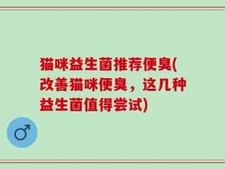 猫咪益生菌推荐便臭(改善猫咪便臭，这几种益生菌值得尝试)