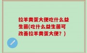 拉羊粪蛋大便吃什么益生菌(吃什么益生菌可改善拉羊粪蛋大便？)