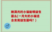 刚满月的小猫能喂益生菌么(一月大的小猫适合食用益生菌吗？)